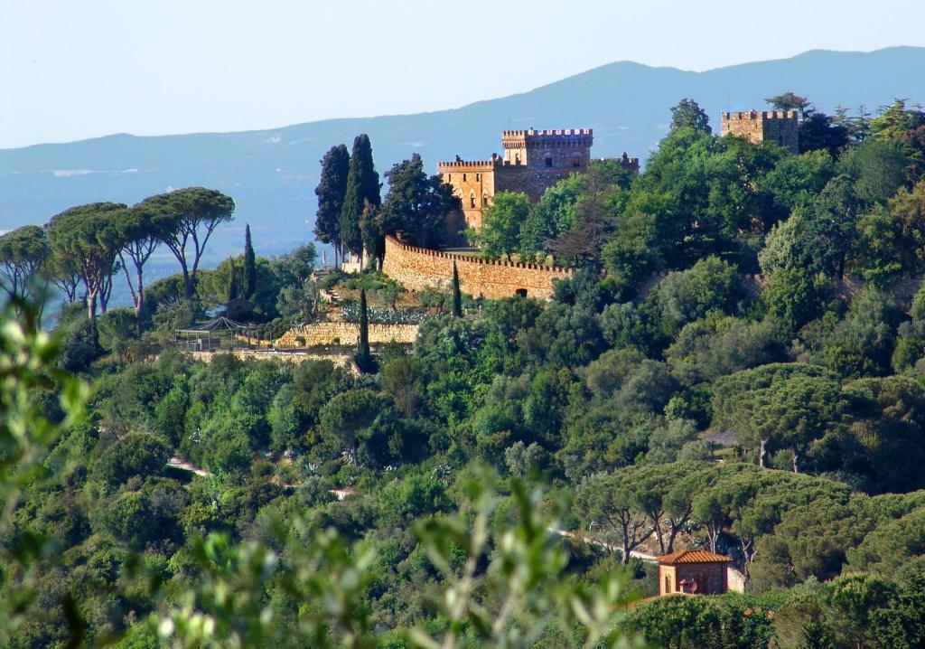 All'Etrusconia Hotel Castagneto Carducci Marina di Castagneto Carducci Eksteriør bilde