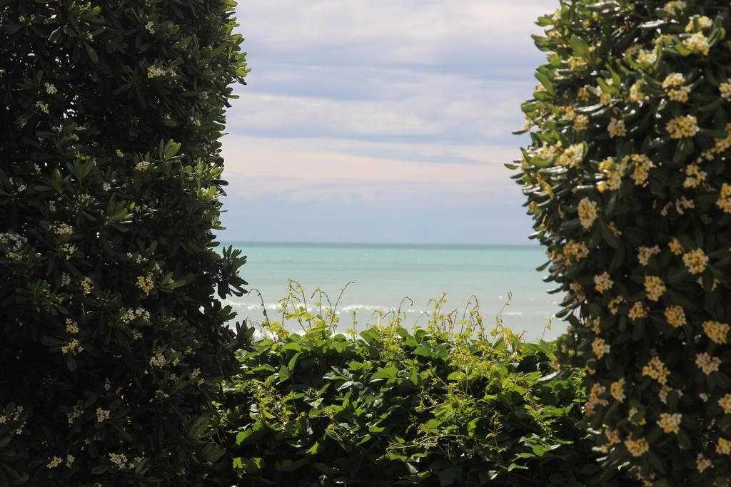 All'Etrusconia Hotel Castagneto Carducci Marina di Castagneto Carducci Eksteriør bilde
